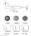 Fig. 14 - High-resolution surface measurement systems and methods