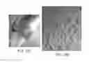 Fig. 16 - High-resolution surface measurement systems and methods
