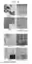 Fig. 17 - High-resolution surface measurement systems and methods