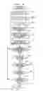 Fig. 13 - Detecting apparatus, detecting method and computer readable recording medium recording program for detecting state in predetermined area within images