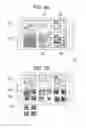 Fig. 10 - Mobile terminal and controlling method thereof
