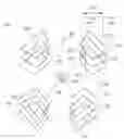Fig. 01 - DIAGONAL COLLECTION OF OBLIQUE IMAGERY