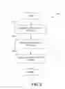Fig. 03 - Simulacrum of physical security device and methods