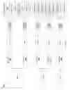 Fig. 05 - Virtual wireless networking