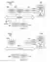 Fig. 16 - Call preservation on handover