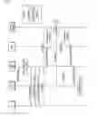 Fig. 07 - METHOD AND APPARATUS FOR TRANSMITTING HANDOVER REQUEST MESSAGE IN WIRELESS COMMUNICATION SYSTEM
