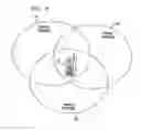 Fig. 06 - Intelligent network selection based on quality of service and applications over different wireless networks