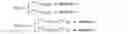 Fig. 05 - Synchronization signals for device-to-device communcations