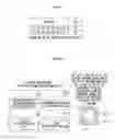 Fig. 11 - Information processing apparatus, non-transitory computer readable recording medium, and information processing method