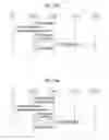Fig. 18 - METHOD FOR PROCESSING A PACKET DATA CONVERGENCE PROTOCOL REORDERING FUNCTION AT A USER EQUIPMENT IN A DUAL CONNECTIVITY SYSTEM AND DEVICE THEREFOR