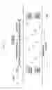 Fig. 21 - Signal transmission/reception method and apparatus of D2D terminal