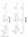 Fig. 05 - METHOD AND APPARATUS FOR REDUCING UPLINK TRANSMISSIONS