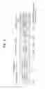 Fig. 04 - Communication method taking carrier type into consideration, and apparatus therefor