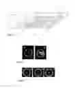 Fig. 04 - Methods and compositions for producing polarized light