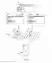 Fig. 07 - Directional lighting system and method