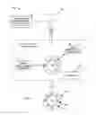 Fig. 13 - Directional lighting system and method