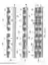 Fig. 15 - Flexible printed circuit board with component mounting section for mounting electronic component and flexible cable sections extending in different directions from the component mounting section