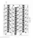 Fig. 16 - Method of manufacturing flexible printed circuit board with component mounting section for mounting electronic component and flexible cable sections extending in different directions from the component mounting section