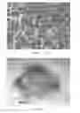 Fig. 10 - Lightning strike and electromagnetic protection system