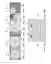 Fig. 10 - Magnetic field shield