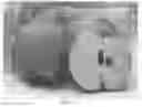 Fig. 05 - Sport Limb Asian Pear Tree