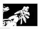 Fig. 07 - Plant cultivation method