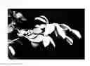 Fig. 09 - Plant cultivation method