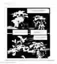 Fig. 18 - Plant cultivation method