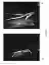 Fig. 07 - HYDROPONIC COMPOSITIONS AND APPLICATIONS THEREOF