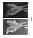 Fig. 09 - HYDROPONIC COMPOSITIONS AND APPLICATIONS THEREOF