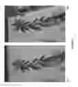 Fig. 10 - HYDROPONIC COMPOSITIONS AND APPLICATIONS THEREOF