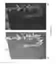 Fig. 11 - HYDROPONIC COMPOSITIONS AND APPLICATIONS THEREOF