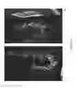 Fig. 12 - HYDROPONIC COMPOSITIONS AND APPLICATIONS THEREOF