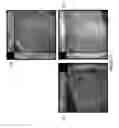 Fig. 29 - HYDROPONIC COMPOSITIONS AND APPLICATIONS THEREOF