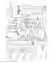 Fig. 23 - System and method of attaching cups to a dairy animal