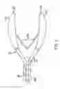 Fig. 03 - Claw Trimming Assembly