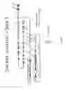 Fig. 13 - ANIMAL MODELS AND THERAPEUTIC MOLECULES