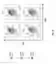 Fig. 54 - ANIMAL MODELS AND THERAPEUTIC MOLECULES