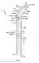 Fig. 02 - Fishing Rod Holder Device