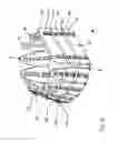 Fig. 05 - Animal Overshoes