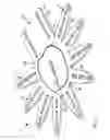 Fig. 07 - Animal Overshoes