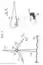 Fig. 02 - METHOD AND APPARATUS USING ILLUMINATION SYSTEM FOR ACTIVELY REDUCING THE ENVIRONMENTAL IMPACT OF WIND TURBINE POWER UNITS