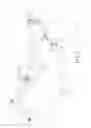 Fig. 03 - Easy fold layout hunting blind framework structure
