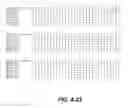 Fig. 28 - Compositions and Methods for Delaying Senescence in Cut Flower