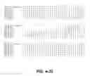 Fig. 37 - Compositions and Methods for Delaying Senescence in Cut Flower