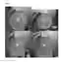 Fig. 02 - Disinfectant Formulation Comprising Calcium Hydroxide and Sodium Hypochlorite