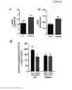 Fig. 08 - Use of sedoheptulose as a nutritional supplement