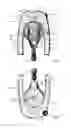 Fig. 07 - Juice Extractor