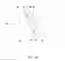 Fig. 12 - Method and device for coating or mixing granular products, more in particular peanuts, with a substance