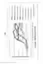Fig. 02 - Nicotine salt formulations for aerosol devices and methods thereof